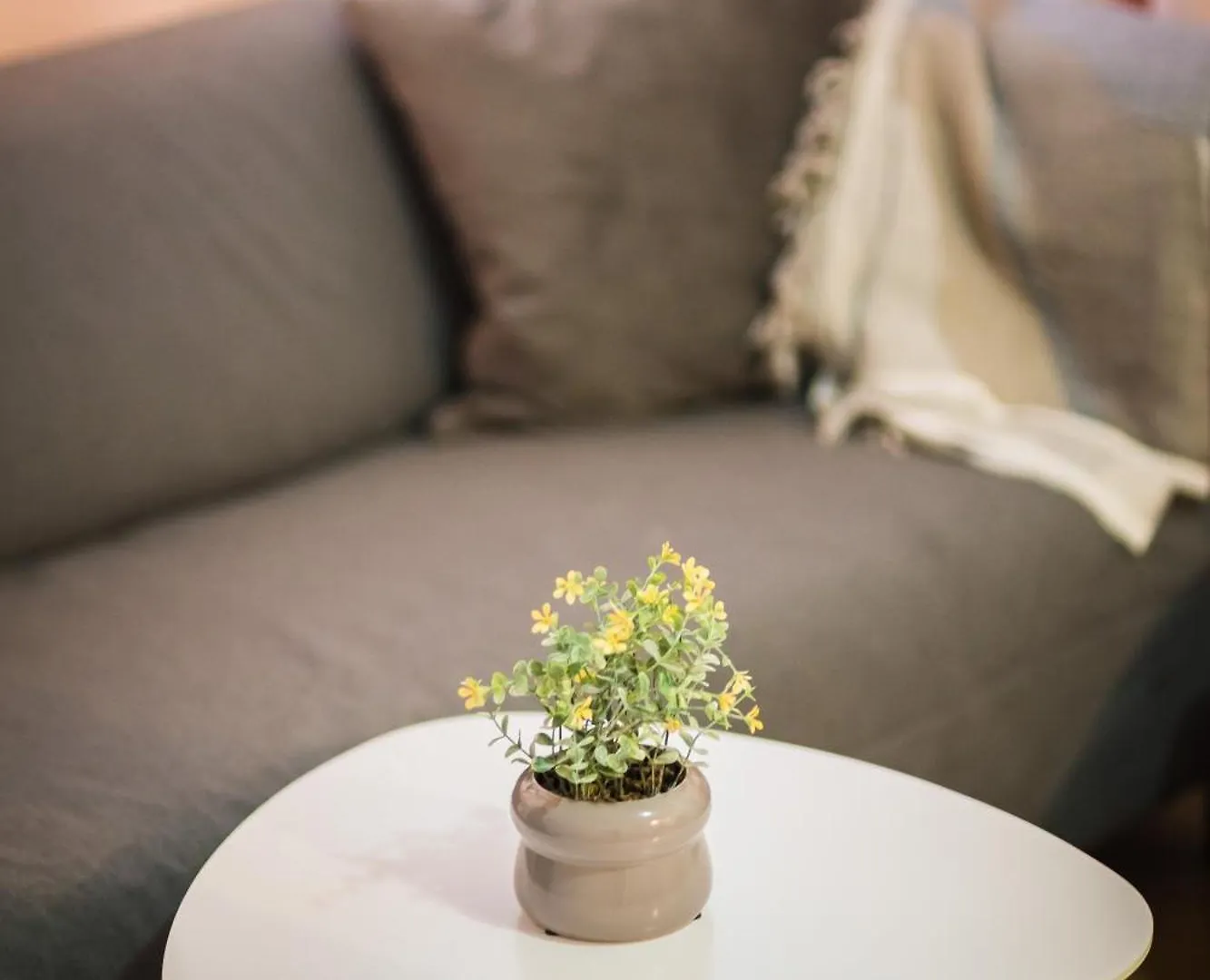 City House Varna Apartment